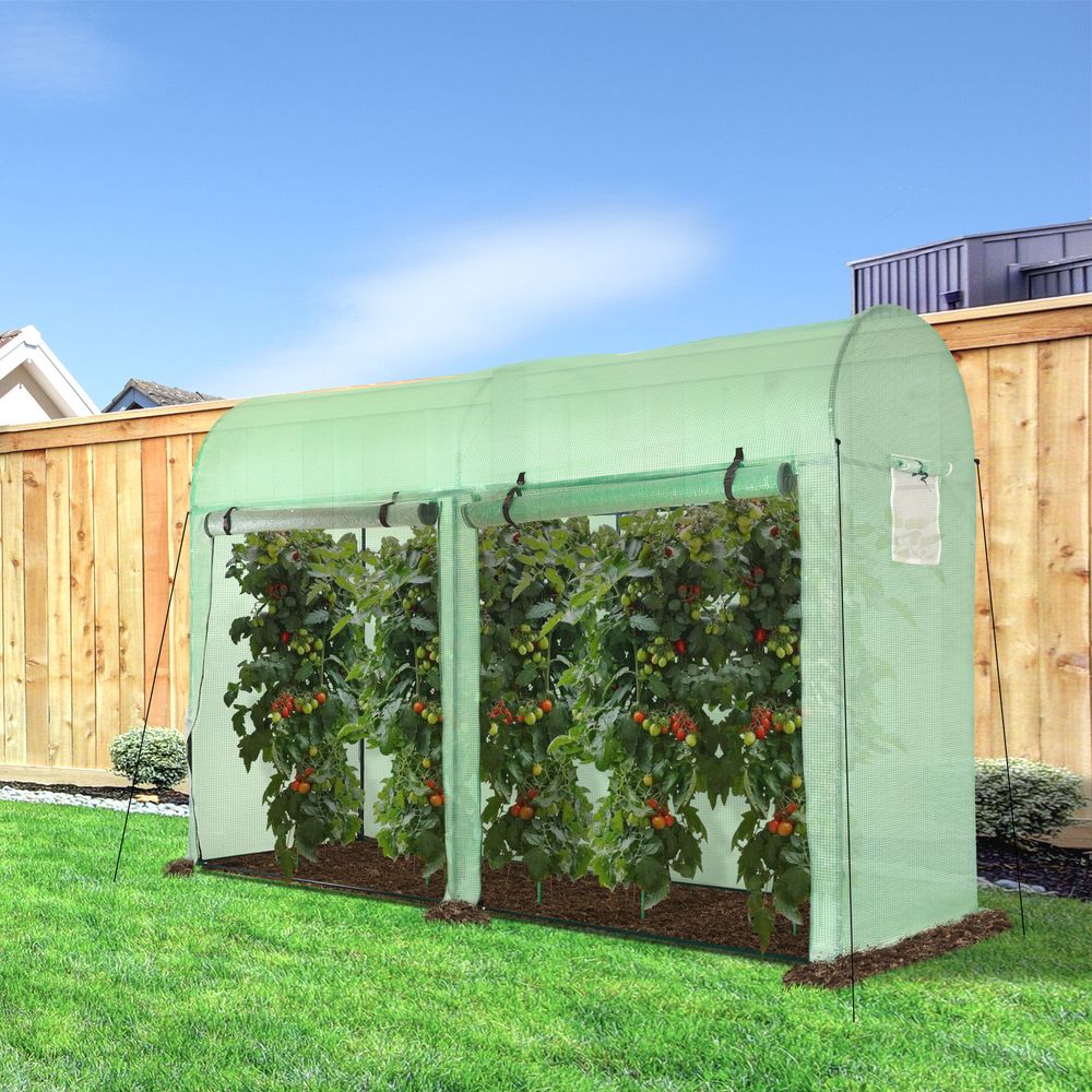 Plant Tomato Growth Greenhouse Double Doors & 4 Windows  3Lx1Wx2Hm